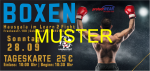 Eintrittskarte Erwachsene für Boxen am 28.09.2025 in Nürnberg